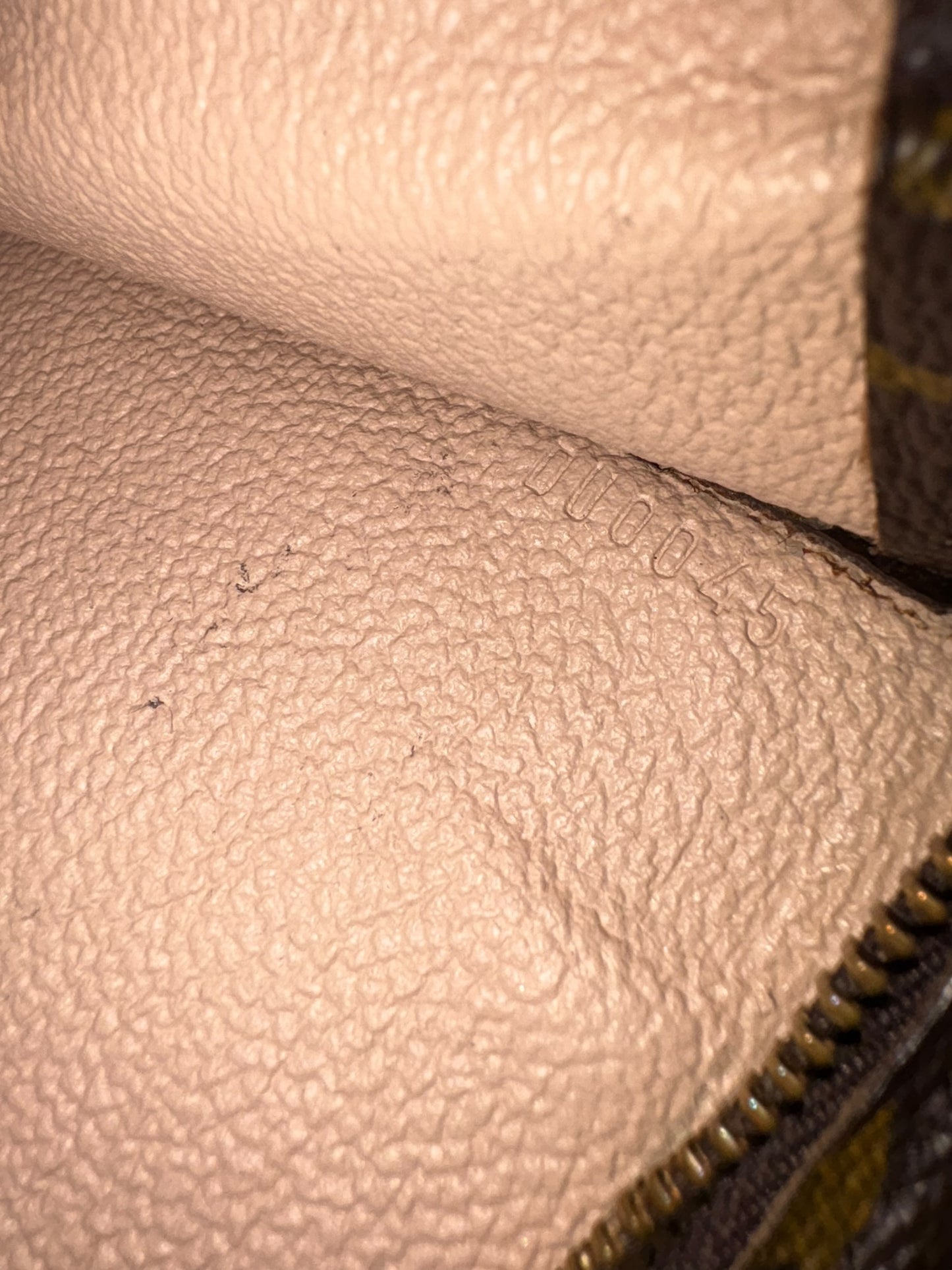 Louis Vuitton Cosmetic Pouch