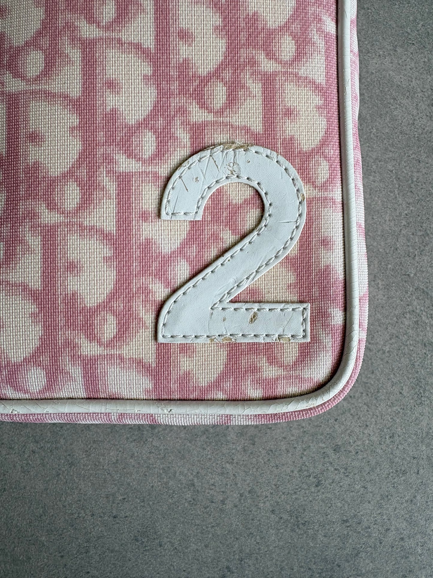Dior Trotter Canvas Pouch Pink