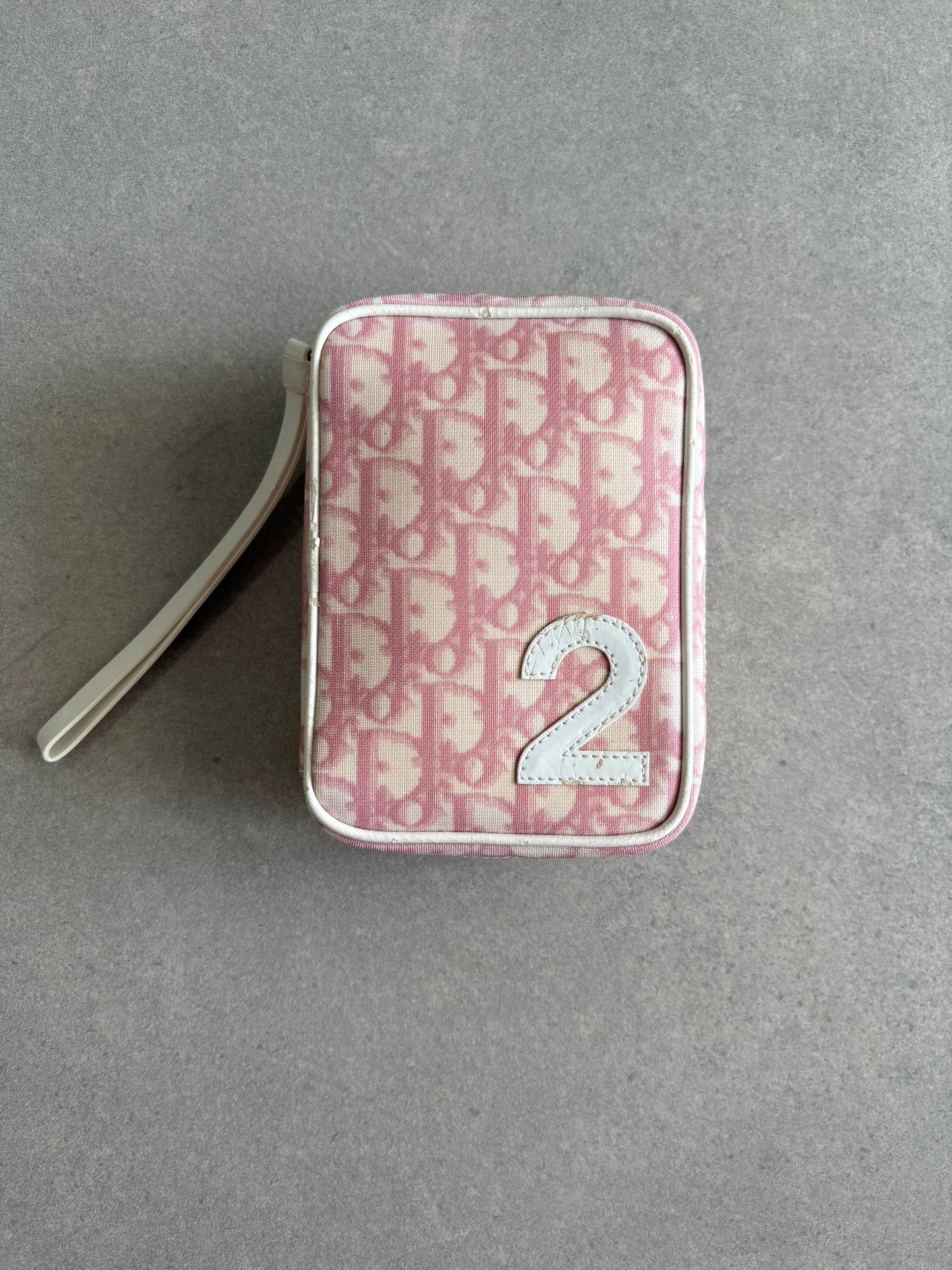 Dior Trotter Canvas Pouch Pink