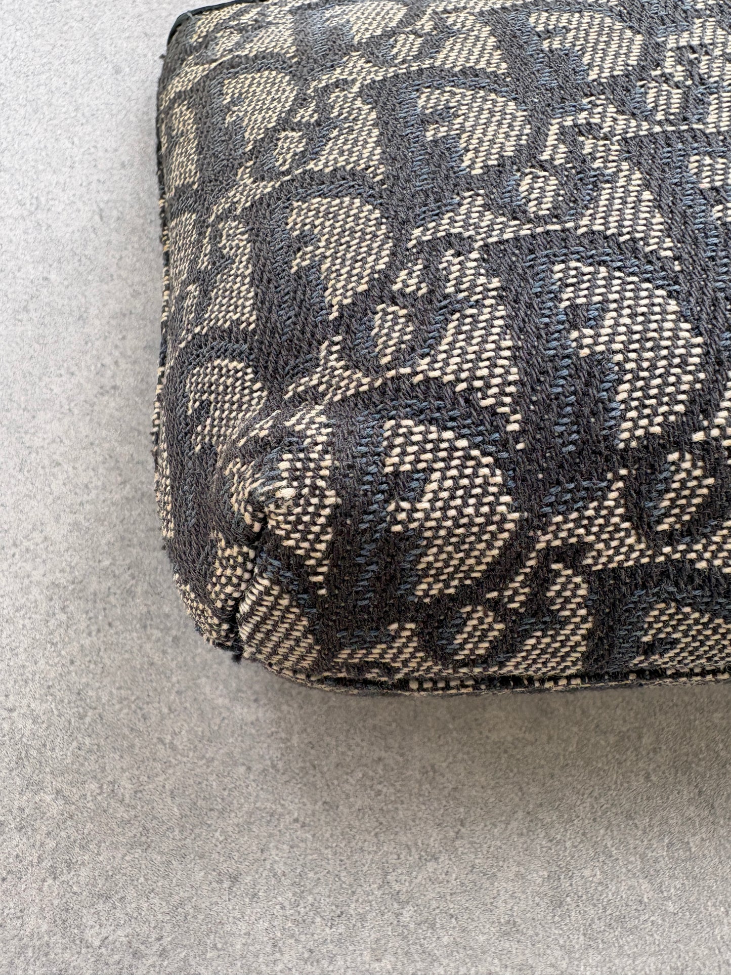 Dior Trotter Navy Pouch