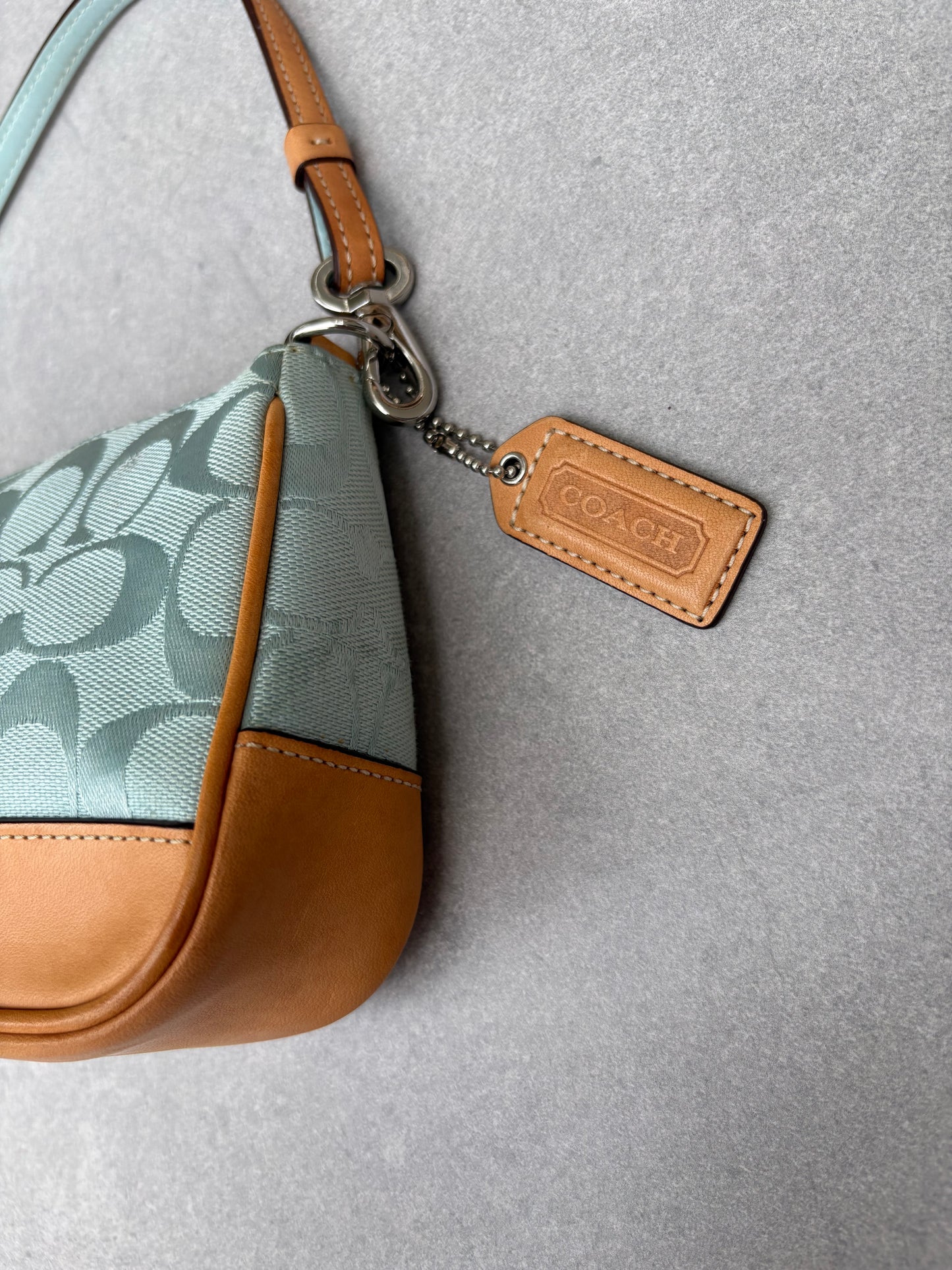 Coach Demi Blue Monogram