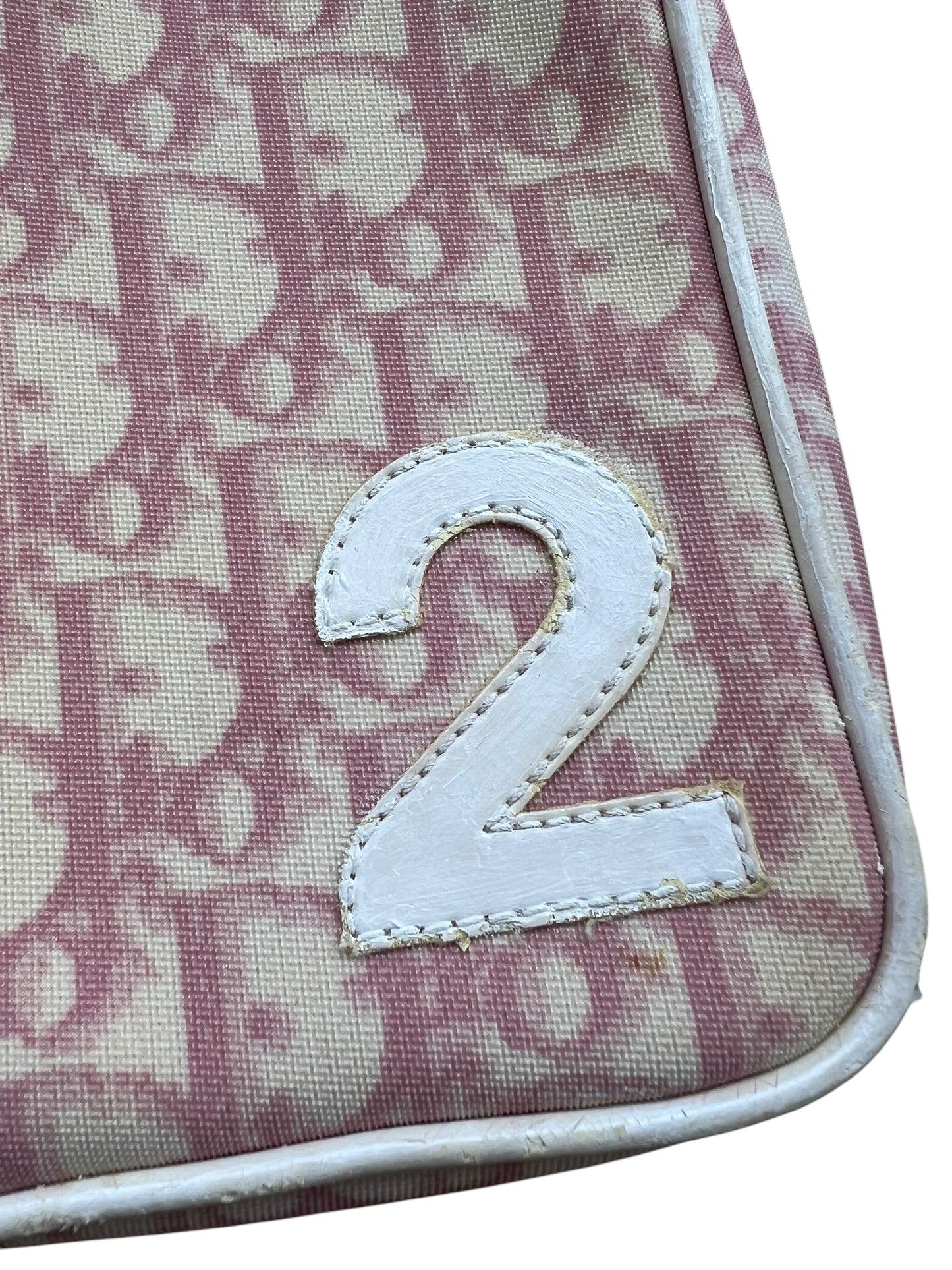 Dior Trotter Canvas Pouch Pink
