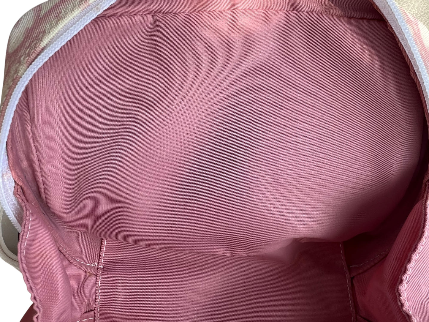 Dior Trotter Canvas Pouch Pink