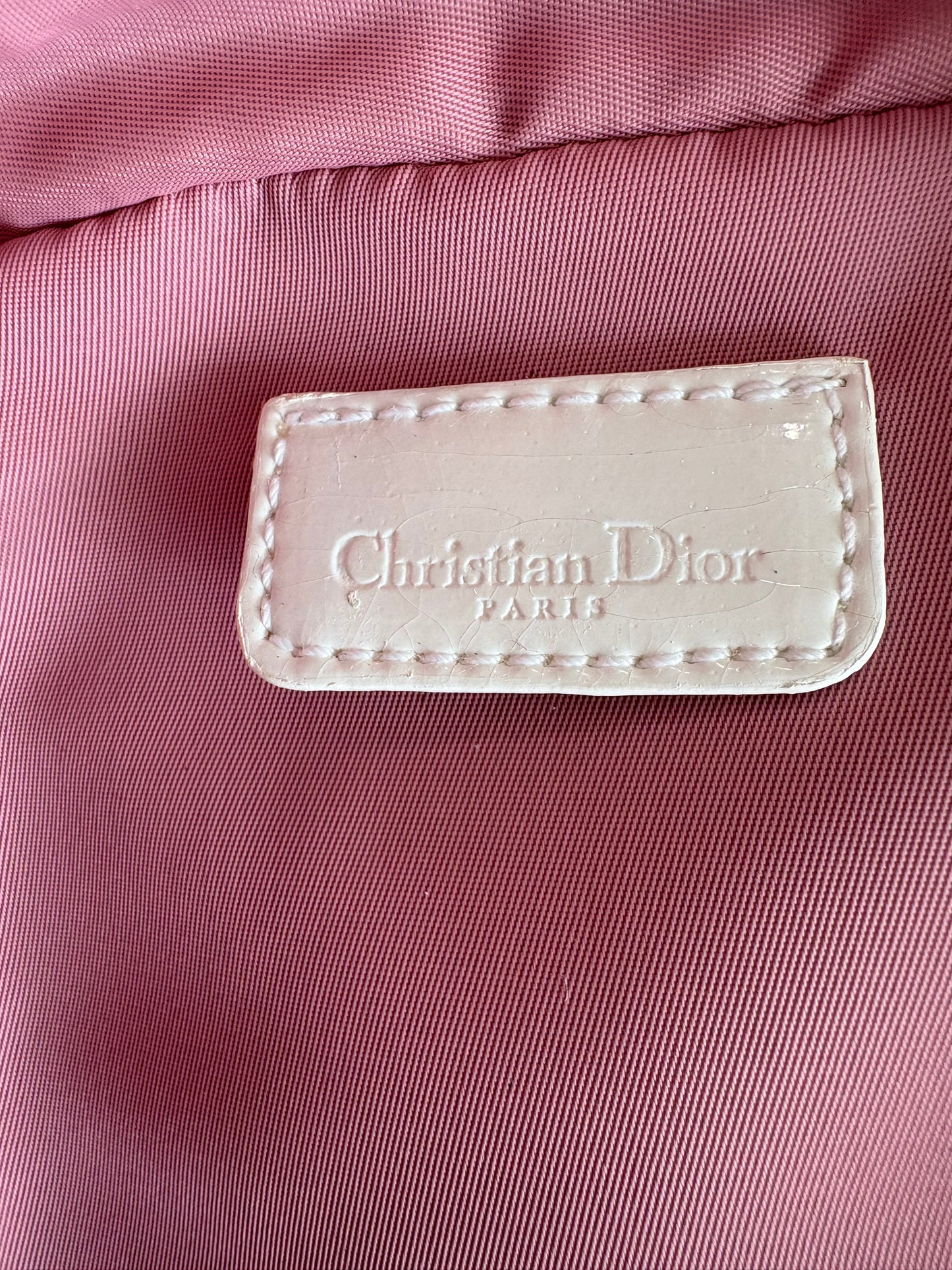 Dior Trotter Canvas Pouch Pink