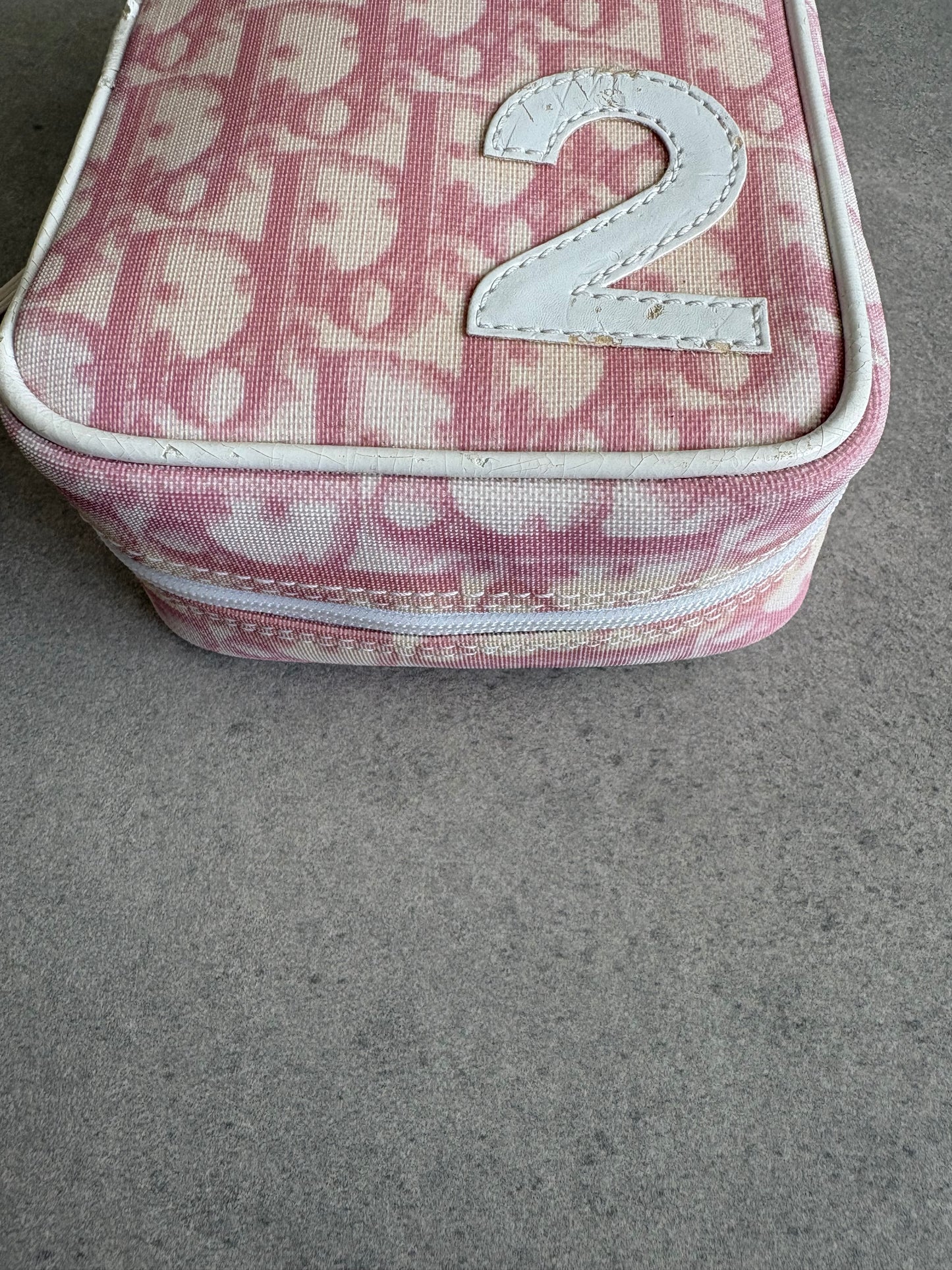 Dior Trotter Canvas Pouch Pink