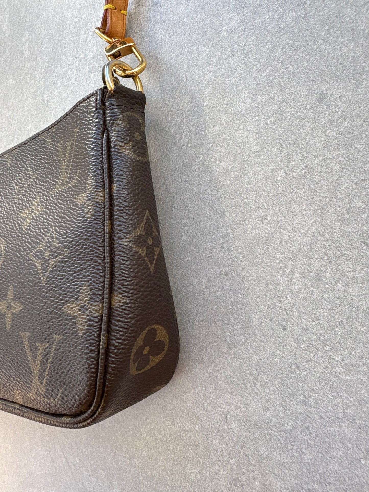 Louis Vuitton Monogram Pochette Accessoires