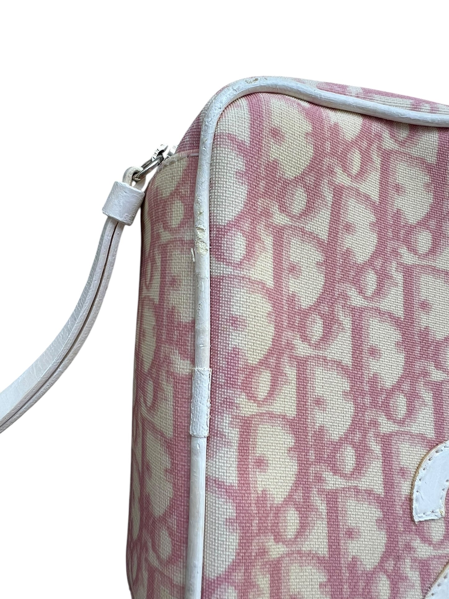 Dior Trotter Canvas Pouch Pink