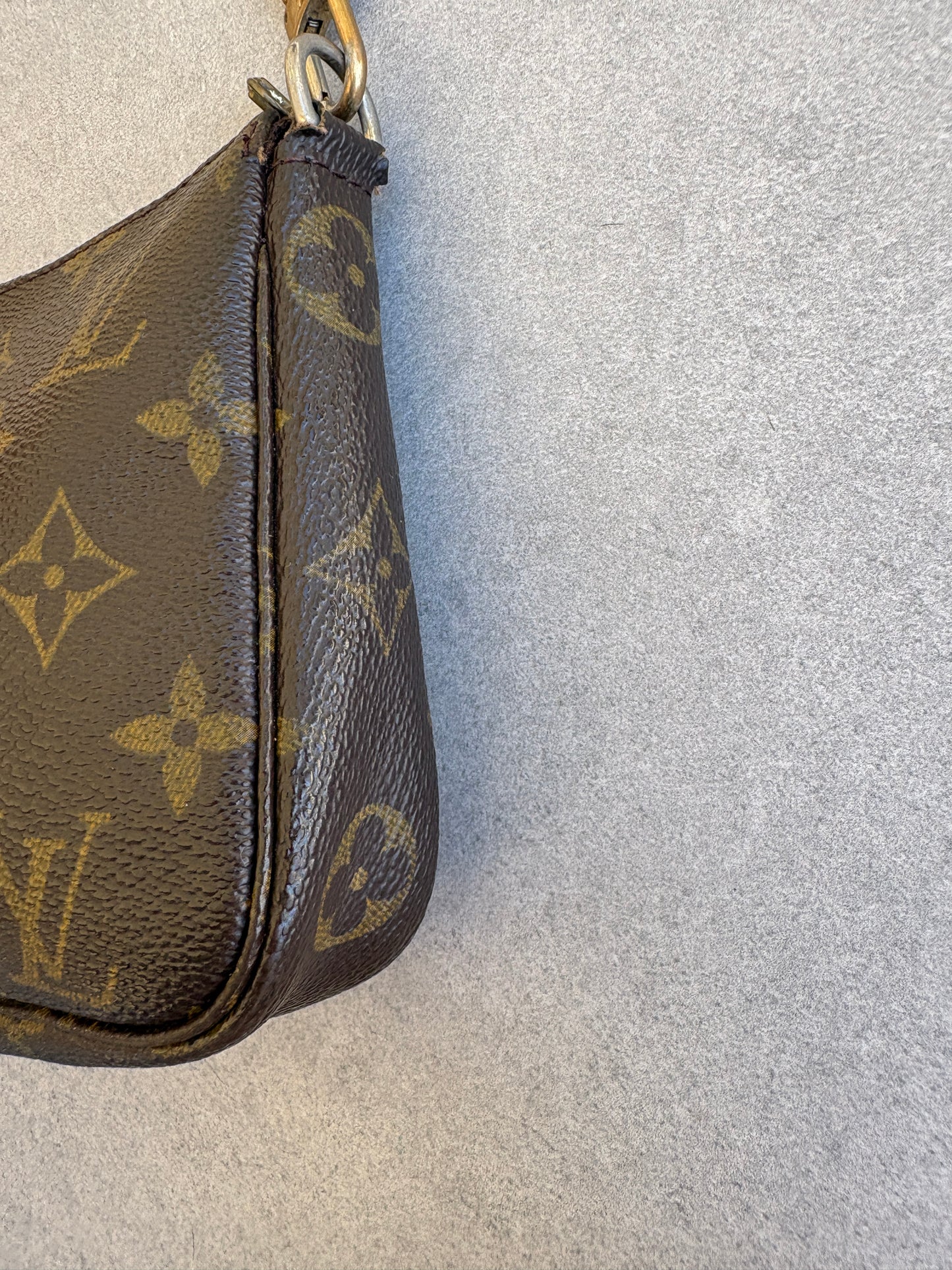 Louis Vuitton Monogram Pochette Accessoires