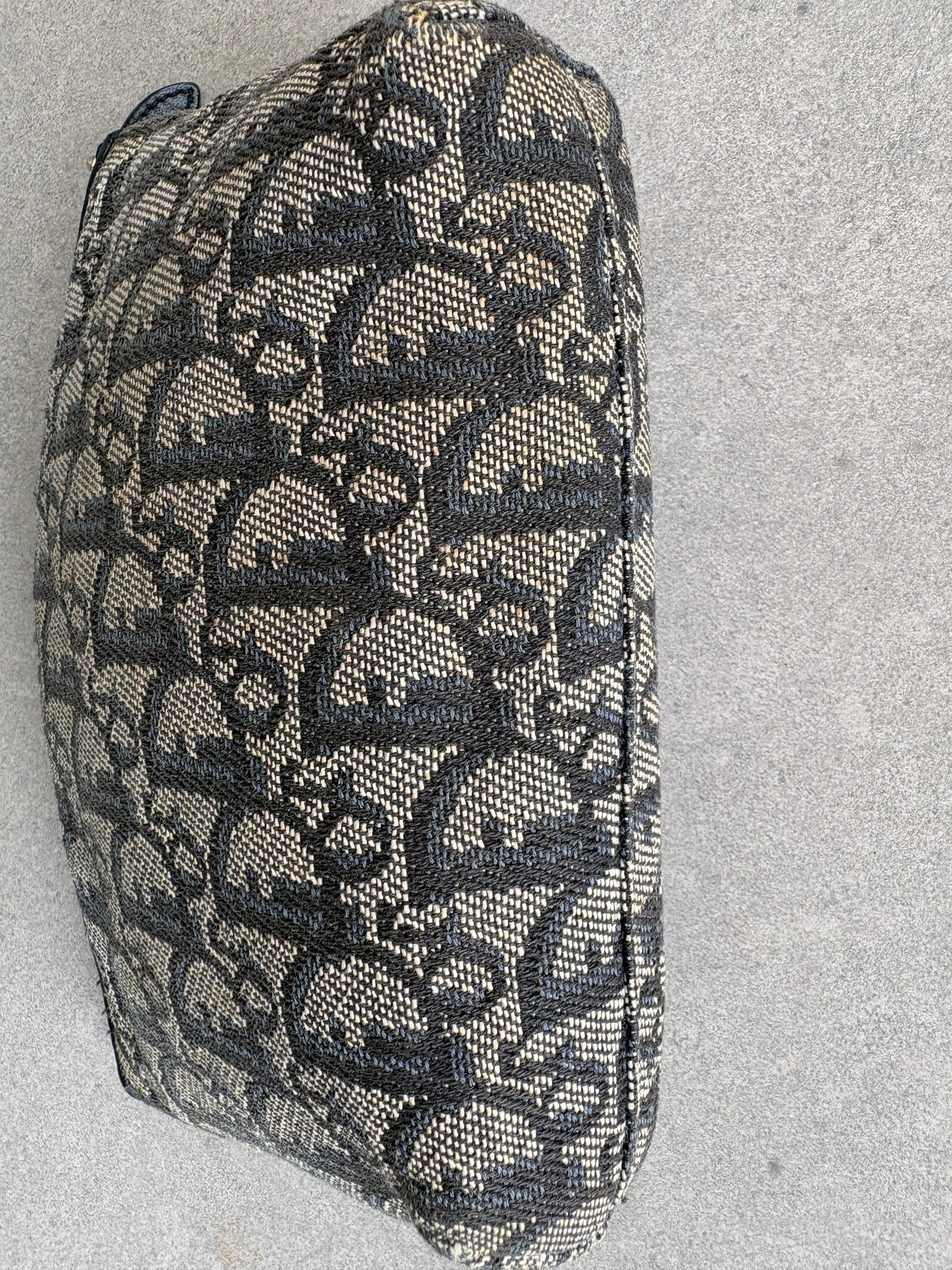 Dior Trotter Navy Pouch
