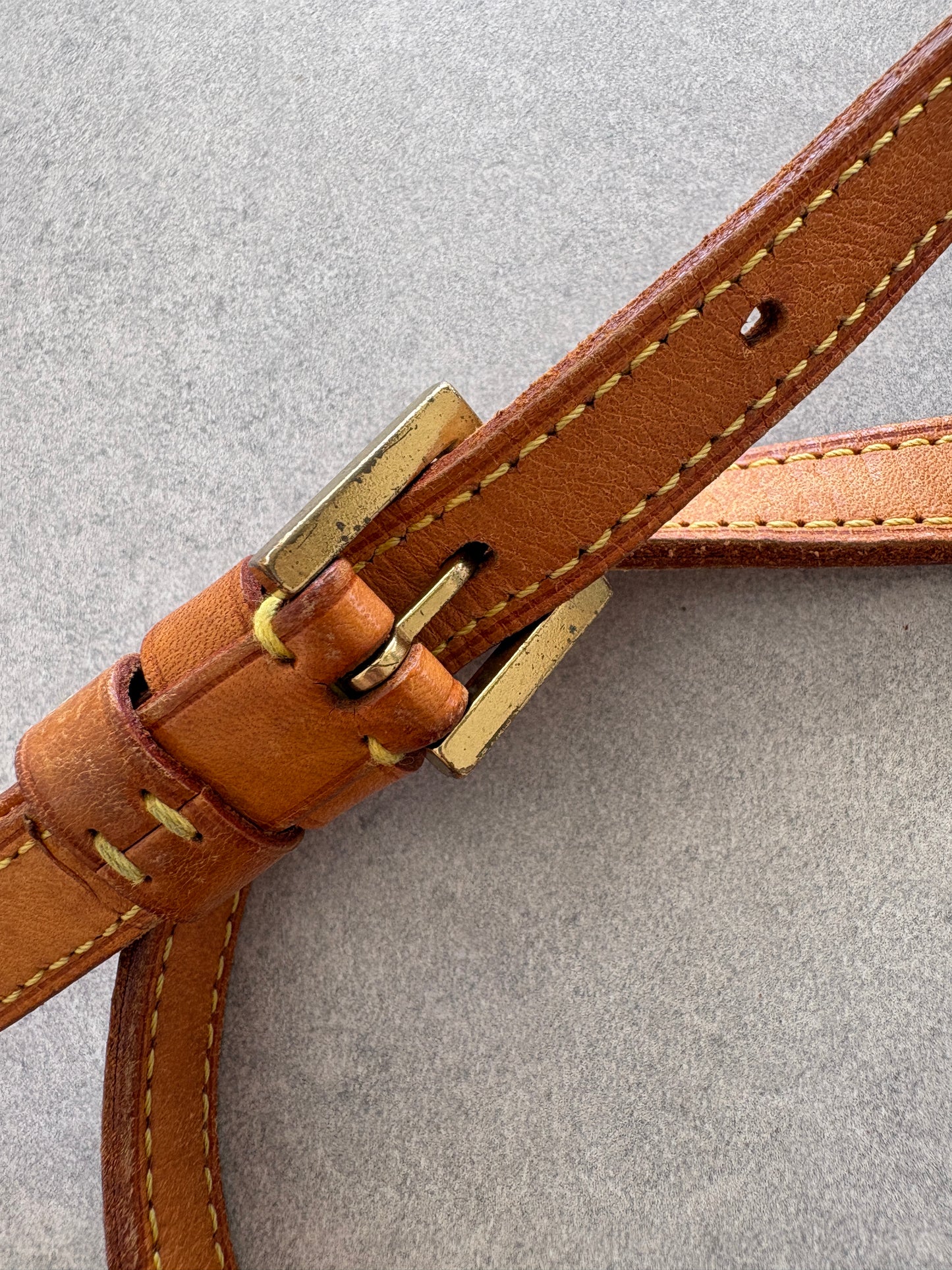 Louis Vuitton Monogram Trotteur Cross-body Bag