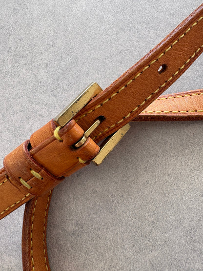 Louis Vuitton Monogram Trotteur Cross-body Bag