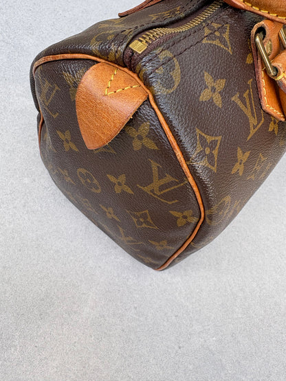 Louis Vuitton Speedy 25