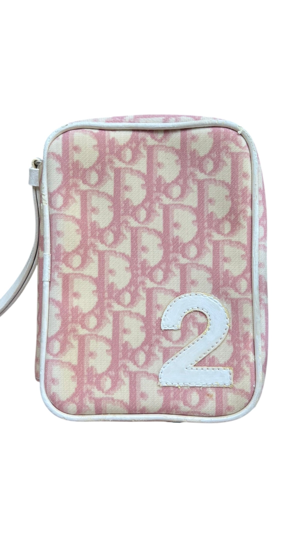 Dior Trotter Canvas Pouch Pink