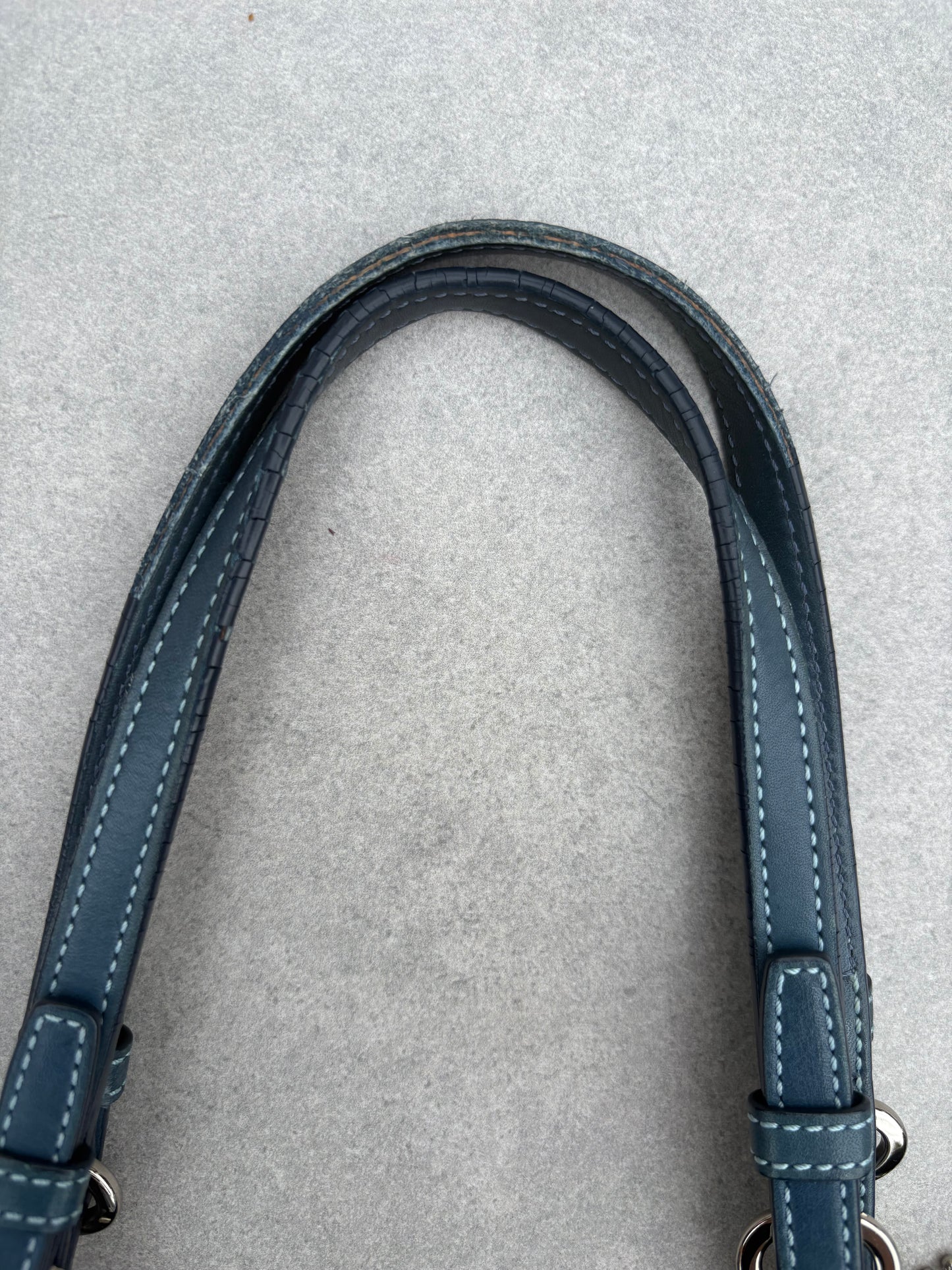 Coach Blue Optic Tote Bag