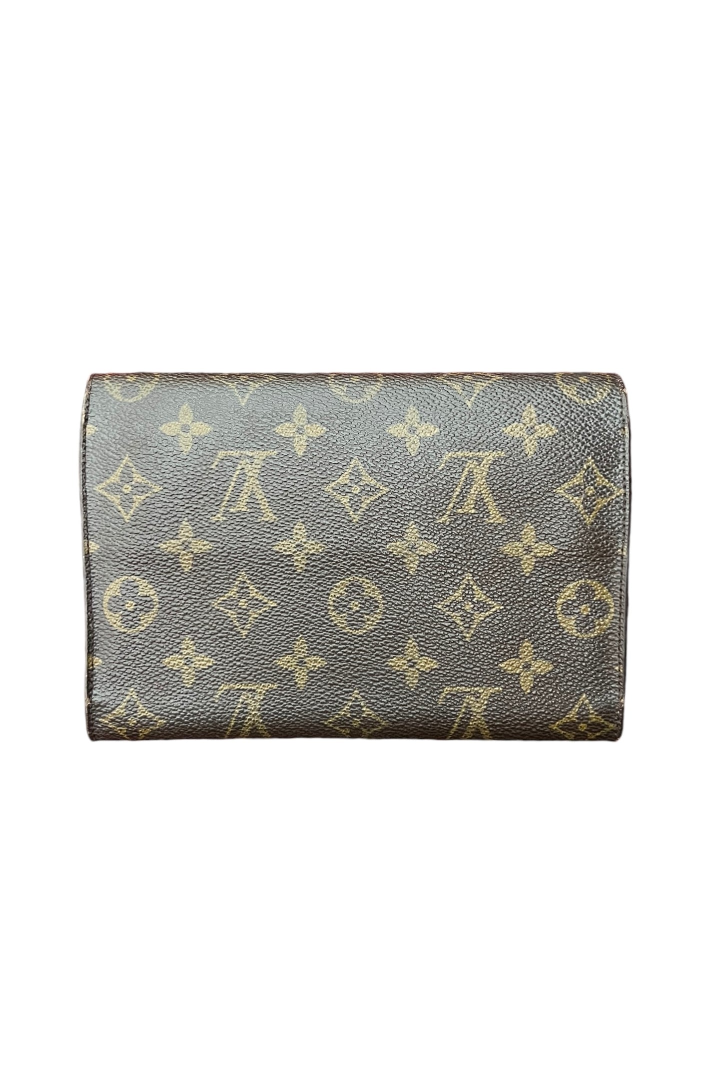 Louis Vuitton Large Clutch Wallet
