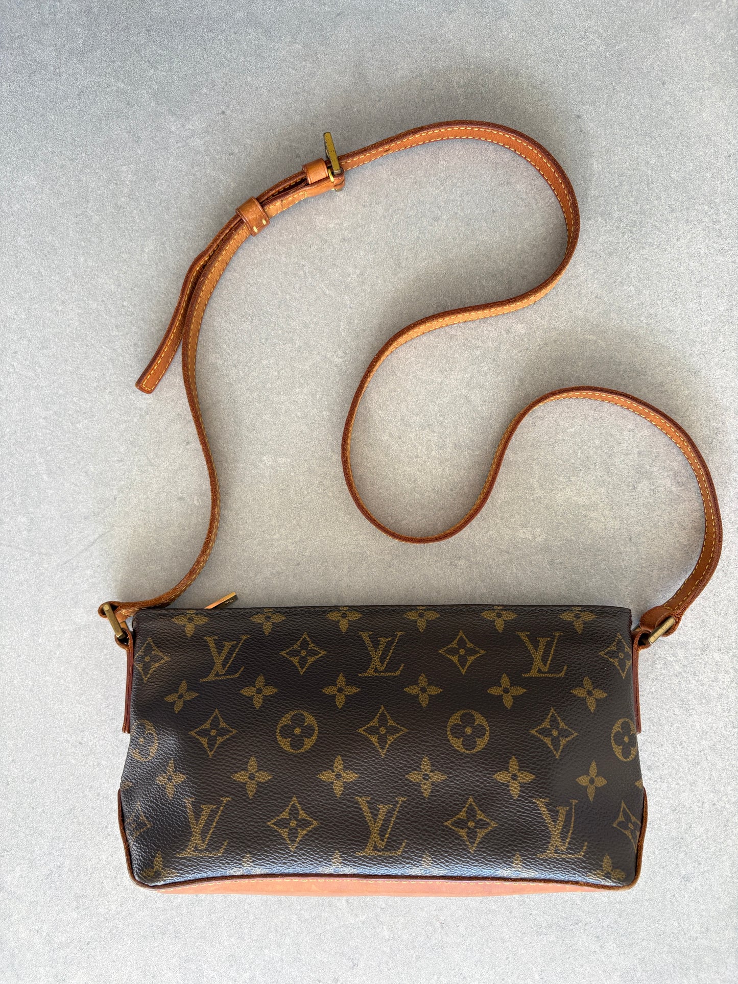 Louis Vuitton Monogram Trotteur Cross-body Bag